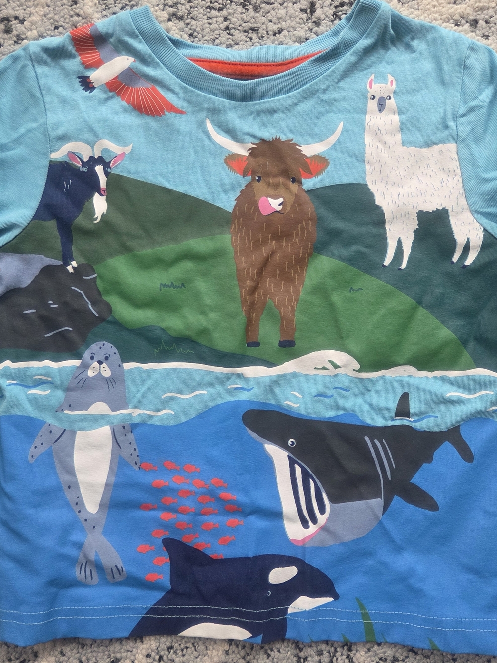 Mini Boden Animals Shark Whale Longsleeve Tee - Picture 2 of 6